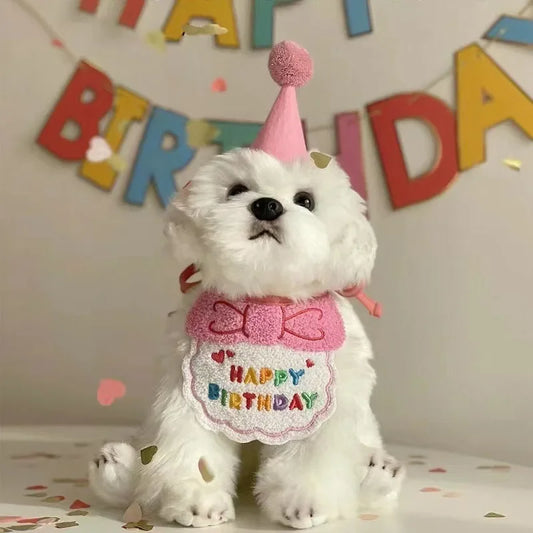 Cute pink adjustable dog birthday hat and bandana set for boy dogs.
