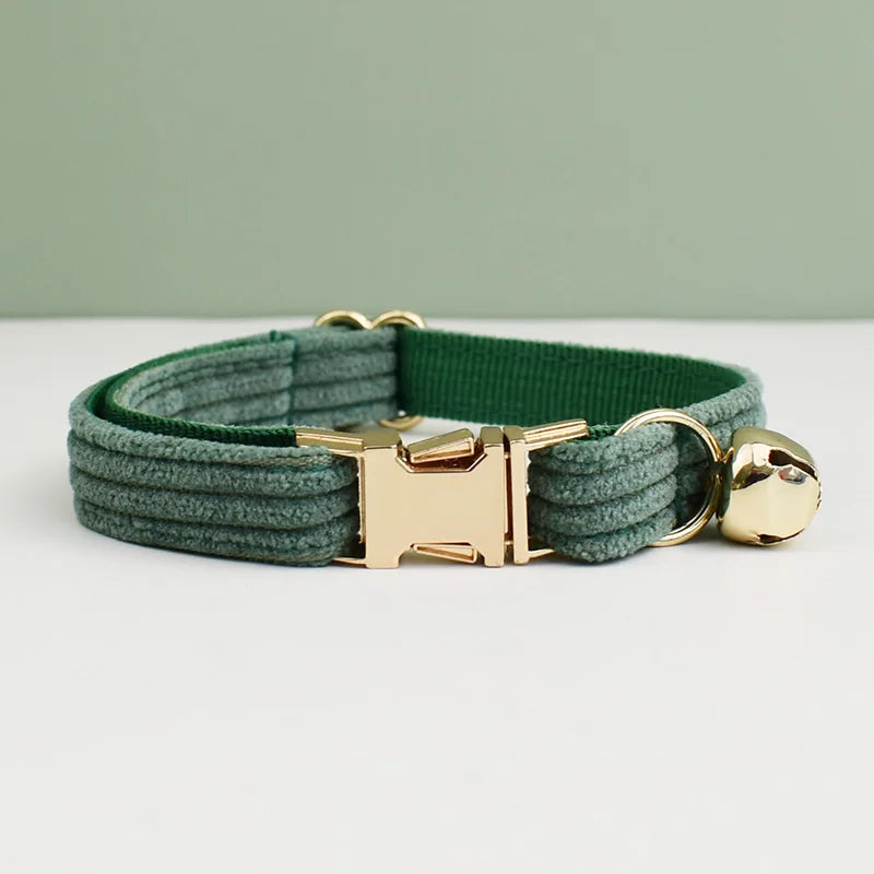 Green dog collar with gold hardware on a light background