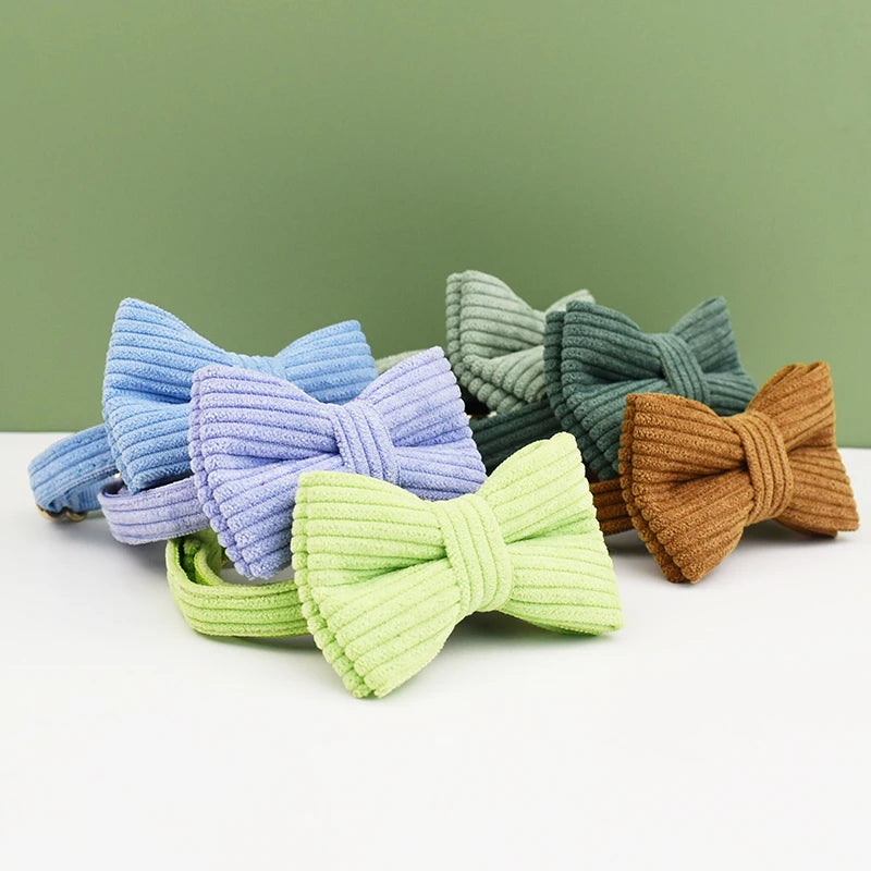 Personalized Breakaway Cat Collar | Engraved Corduroy with Bow Tie