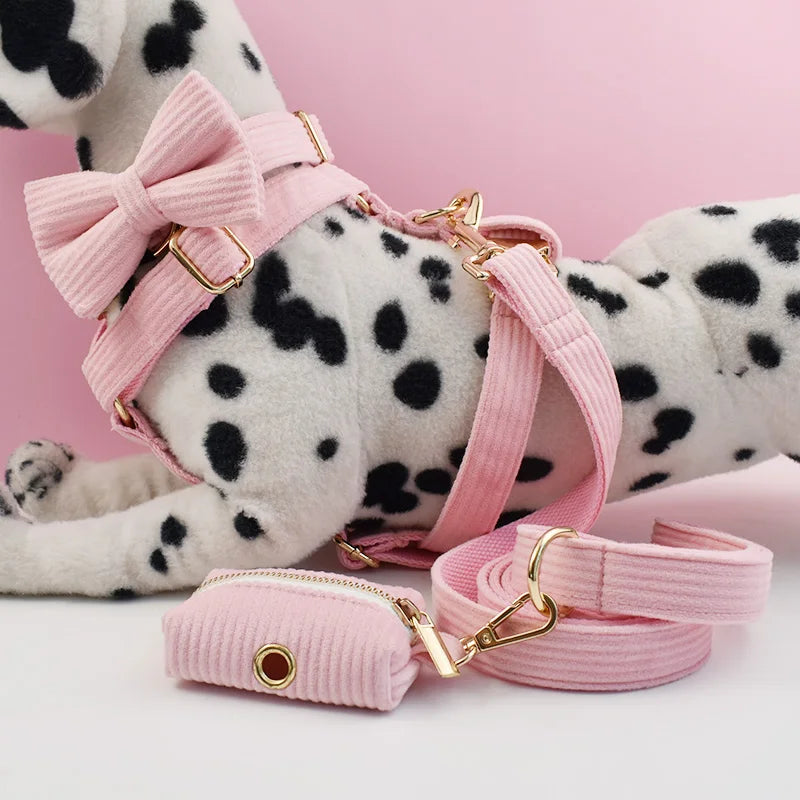 dog wearing a pink harness and leash set on a pink background