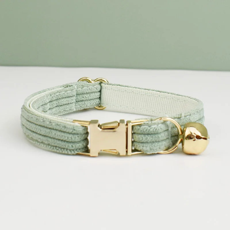 Light green dog collar with gold hardware on a light gray background