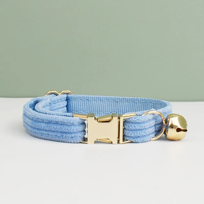 Light blue dog collar with gold hardware on a light gray surface