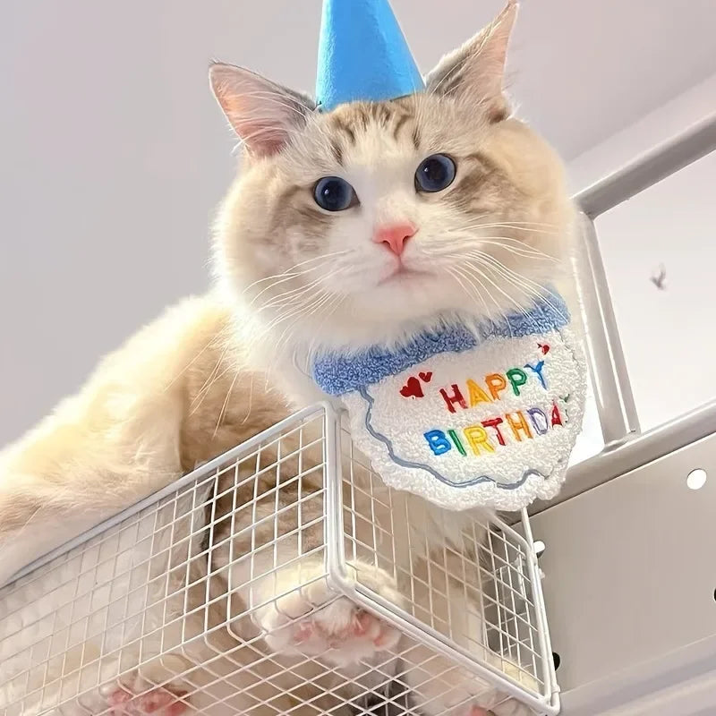 Blue cat and small dog gotcha day outfit with elastic hat.